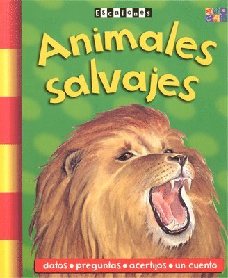 Sarah Fecher - Animales Salvajes, Häftad