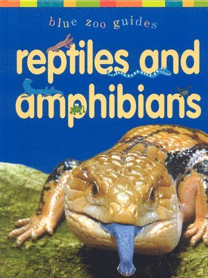 Reptiles & Amphibians 1