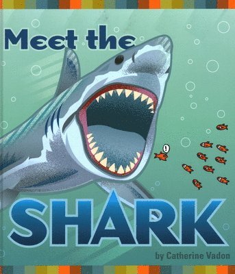 Meet the Shark 1