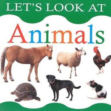 bokomslag Animals