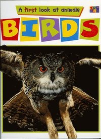 bokomslag Birds