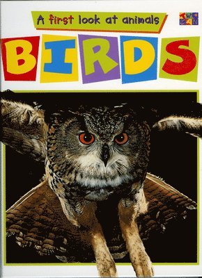 bokomslag Birds