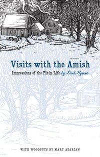 bokomslag Visits with the Amish