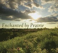 bokomslag Enchanted by Prairie