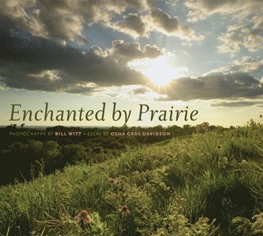 bokomslag Enchanted by Prairie