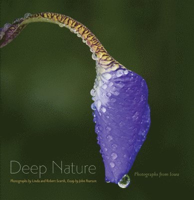 Deep Nature 1
