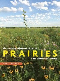 bokomslag Ecology and Management of Prairies in the Central United States