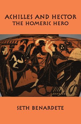 05 Achilles and Hector  Homeric Hero 1