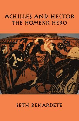 bokomslag 05 Achilles and Hector - Homeric Hero