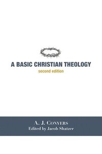 bokomslag A Basic Christian Theology