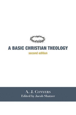 bokomslag A Basic Christian Theology