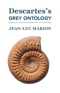 bokomslag Descartess Grey Ontology  Cartesian Science and Aristotelian Thought in the Regulae