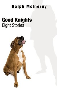 bokomslag Good Knights