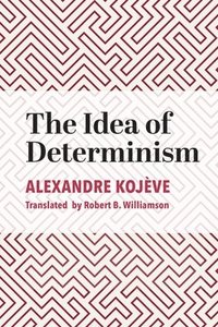 bokomslag The Idea of Determinism
