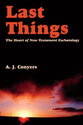 bokomslag Last Things - Heart Of New Testament Eschatology