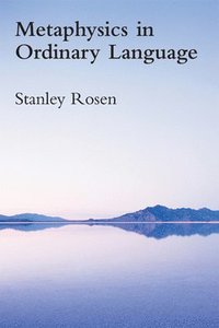 bokomslag Metaphysics in Ordinary Language