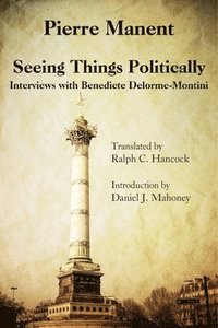 bokomslag Seeing Things Politically  Interviews with Benedicte DelormeMontini