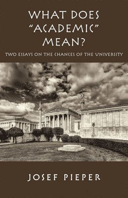 bokomslag What Does 'Academic' Mean? - Two Essays on the Chances of the University Today