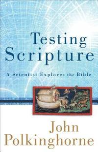 bokomslag Testing Scripture
