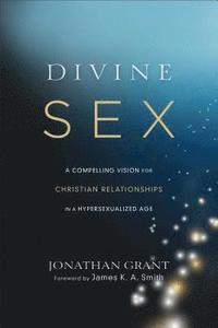 bokomslag Divine Sex  A Compelling Vision for Christian Relationships in a Hypersexualized Age