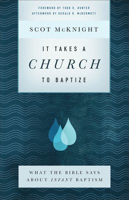 bokomslag It Takes a Church to Baptize - What the Bible Says about Infant Baptism