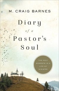 bokomslag Diary of a Pastor`s Soul  The Holy Moments in a Life of Ministry