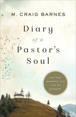 bokomslag Diary of a Pastor`s Soul - The Holy Moments in a Life of Ministry