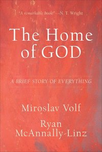 bokomslag The Home of God  A Brief Story of Everything