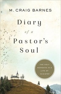 bokomslag Diary of a Pastor's Soul