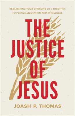 bokomslag Justice of Jesus