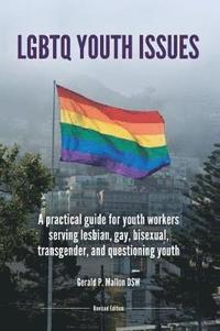 bokomslag LGBTQ Youth Issues
