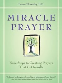 bokomslag Miracle Prayer