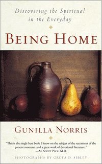 bokomslag Being Home: Discovering the Spiritual in the Everyday