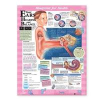 bokomslag Blueprint for Health Your Ears Chart