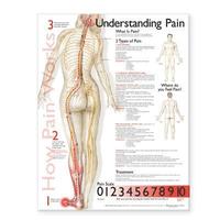 bokomslag Understanding Pain Anatomical Chart