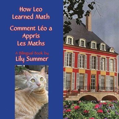 bokomslag How Leo Learned Math / Comment Lo a Appris Les Maths A BILINGUAL BOOK (FRENCH & ENGLISH)