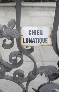bokomslag Chien Lunatique