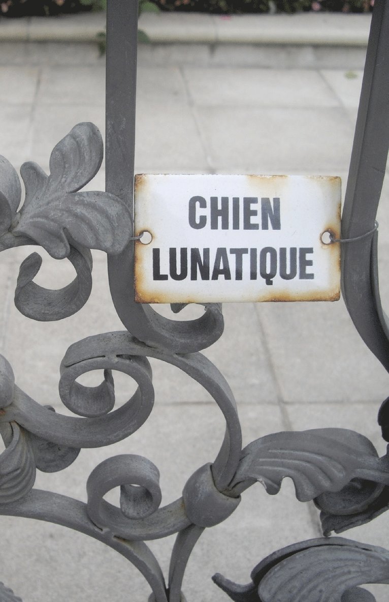 Chien Lunatique 1