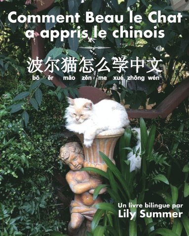 bokomslag Comment Beau le Chat a appris le chinois