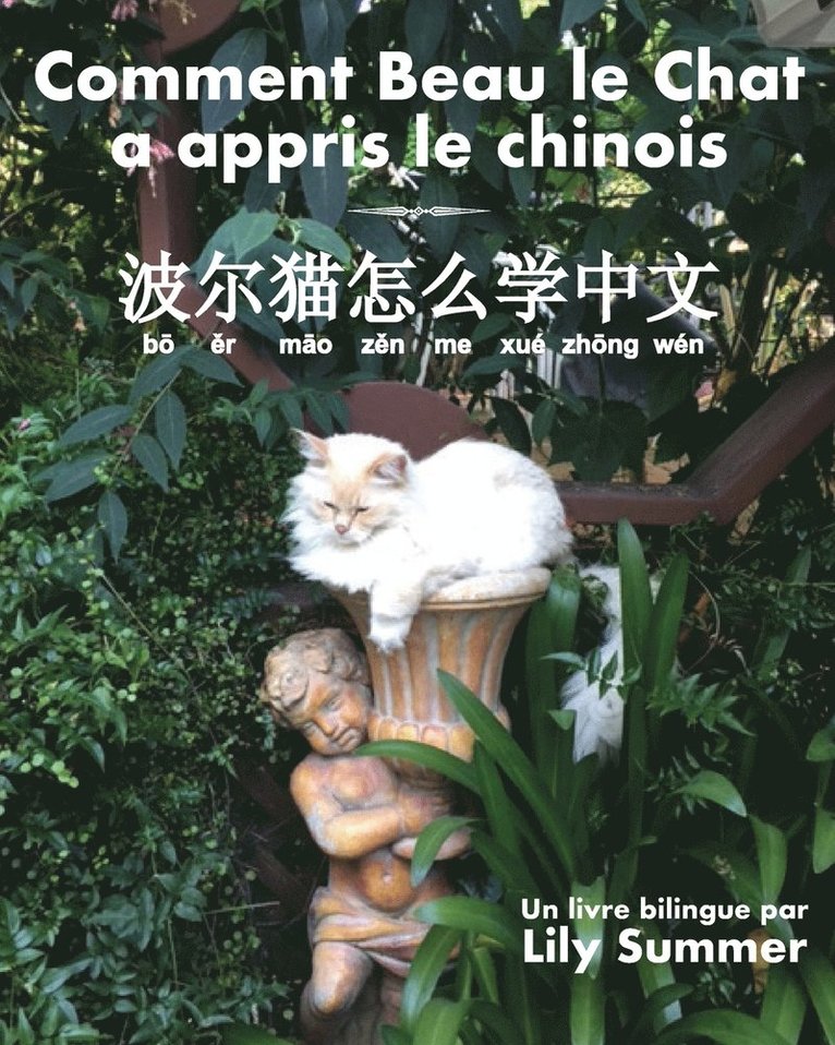Comment Beau le Chat a appris le chinois