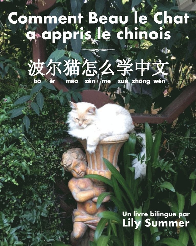 Comment Beau le Chat a appris le chinois 1