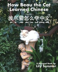 bokomslag How Beau the Cat Learned Chinese