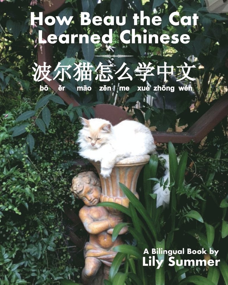 How Beau the Cat Learned Chinese 1