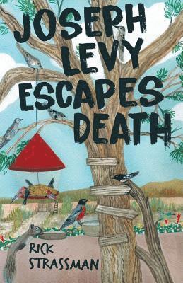 Rick Strassman - Joseph Levy Escapes Death, Häftad