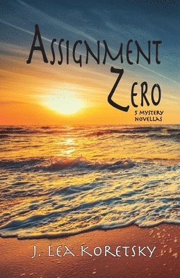 bokomslag Assignment Zero
