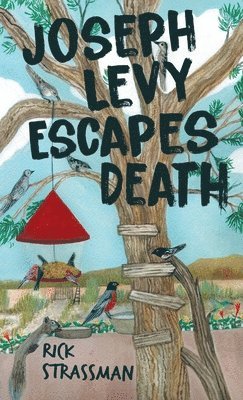 bokomslag Joseph Levy Escapes Death
