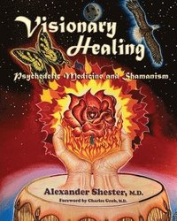 bokomslag VISIONARY HEALING Psychedelic Medicine and Shamanism