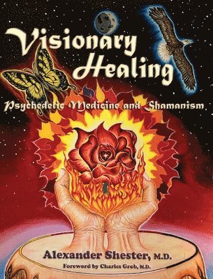 bokomslag VISIONARY HEALING Psychedelic Medicine and Shamanism