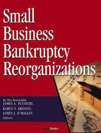 bokomslag Small Business Bankruptcy Reorganizations