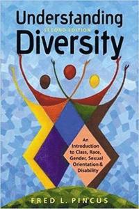bokomslag Understanding Diversity